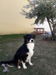 20181006_131702.jpg