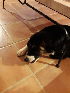 20181015_213637.jpg