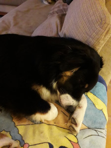 20181104_172943.jpg