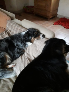 20181106_104526.jpg