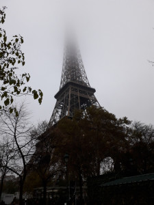 20181115_170523.jpg
