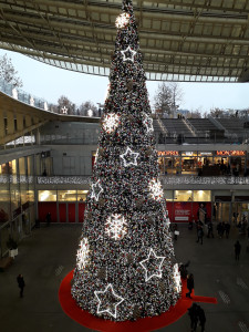 20181116_161930.jpg