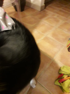 20181117_173118.jpg