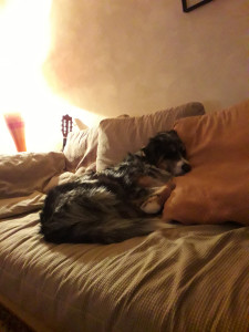 20181118_223340.jpg