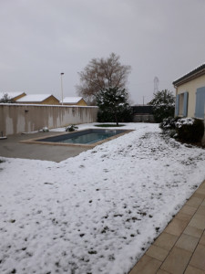 20181120_074645.jpg
