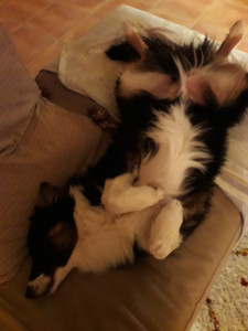 20181121_224420.jpg