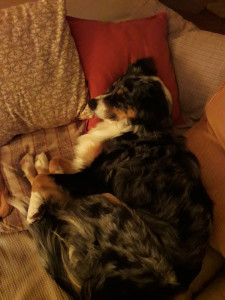 20181121_224625.jpg