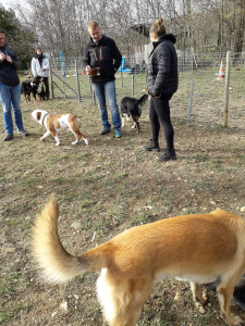 20181208_120708.jpg