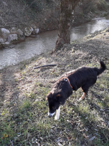 20181214_143542.jpg