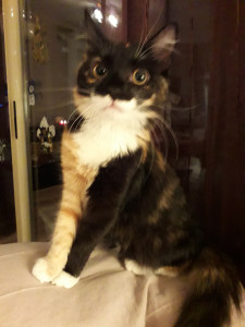 20181215_230619.jpg