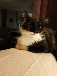 20181215_230720.jpg