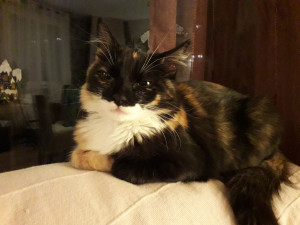 20181215_230729.jpg