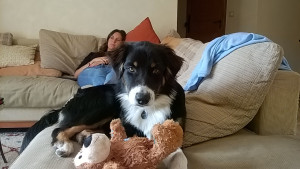 IMG-20180916-WA0001.jpg