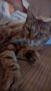 WP_20140902_003.jpg