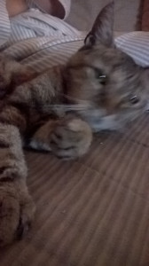 WP_20140902_004.jpg