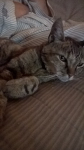 WP_20140902_006.jpg
