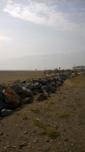 WP_20150320_001.jpg