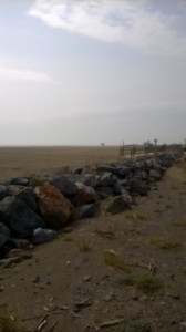 WP_20150320_002.jpg