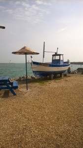 WP_20150320_004.jpg