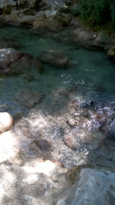 WP_20150728_013.jpg