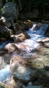 WP_20150728_014.jpg