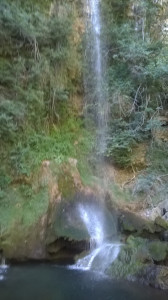 WP_20150728_017.jpg