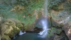 WP_20150728_019.jpg