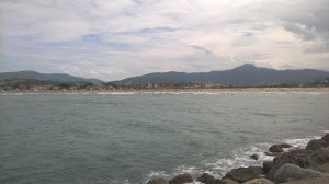 WP_20150816_002.jpg