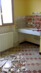WP_20150903_001.jpg