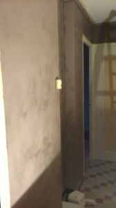 WP_20151006_001.jpg
