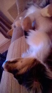 WP_20151010_001.jpg