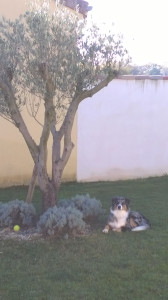 WP_20151109_001.jpg