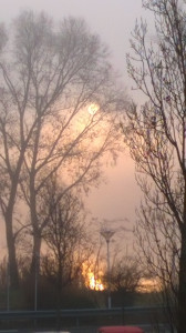 WP_20151217_001.jpg