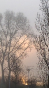 WP_20151217_002.jpg