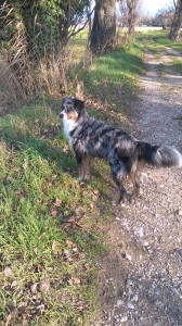 WP_20151225_003.jpg