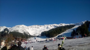 WP_20160221_005.jpg