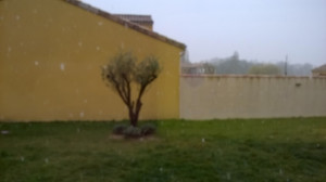 WP_20160316_003.jpg
