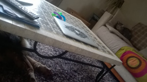 WP_20160403_001.jpg