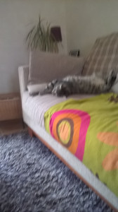 WP_20160403_003.jpg