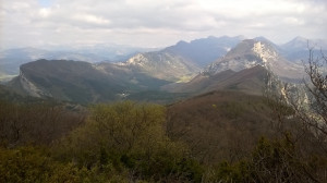 WP_20160409_004.jpg
