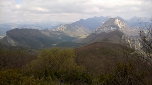 WP_20160409_005.jpg
