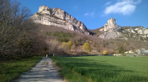 WP_20160409_006.jpg