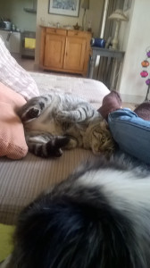 WP_20160422_003.jpg