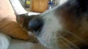 WP_20160422_005.jpg