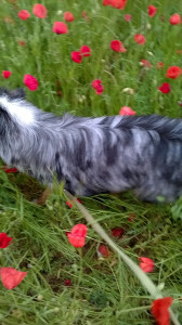 WP_20160509_004.jpg