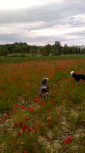 WP_20160522_004.jpg