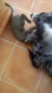 WP_20160907_006.jpg