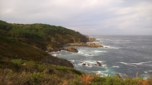 WP_20161025_001.jpg