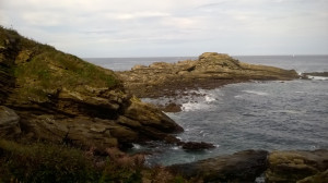 WP_20161025_004.jpg