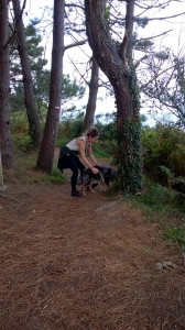 WP_20161025_005.jpg